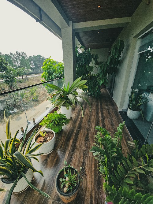 Gallery Image 8